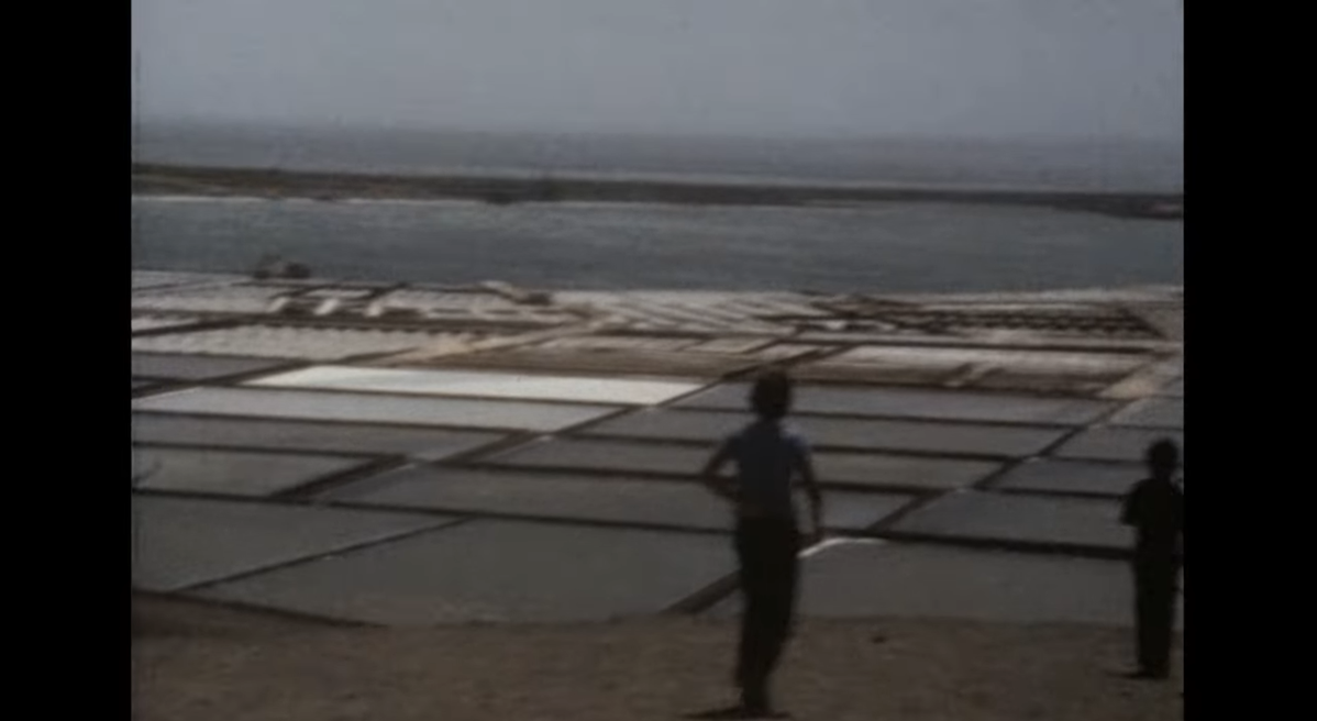 Escenas en Montañas del Fuego, Yaiza, Salinas de Janubio y Playa Chica en VIDEOS 